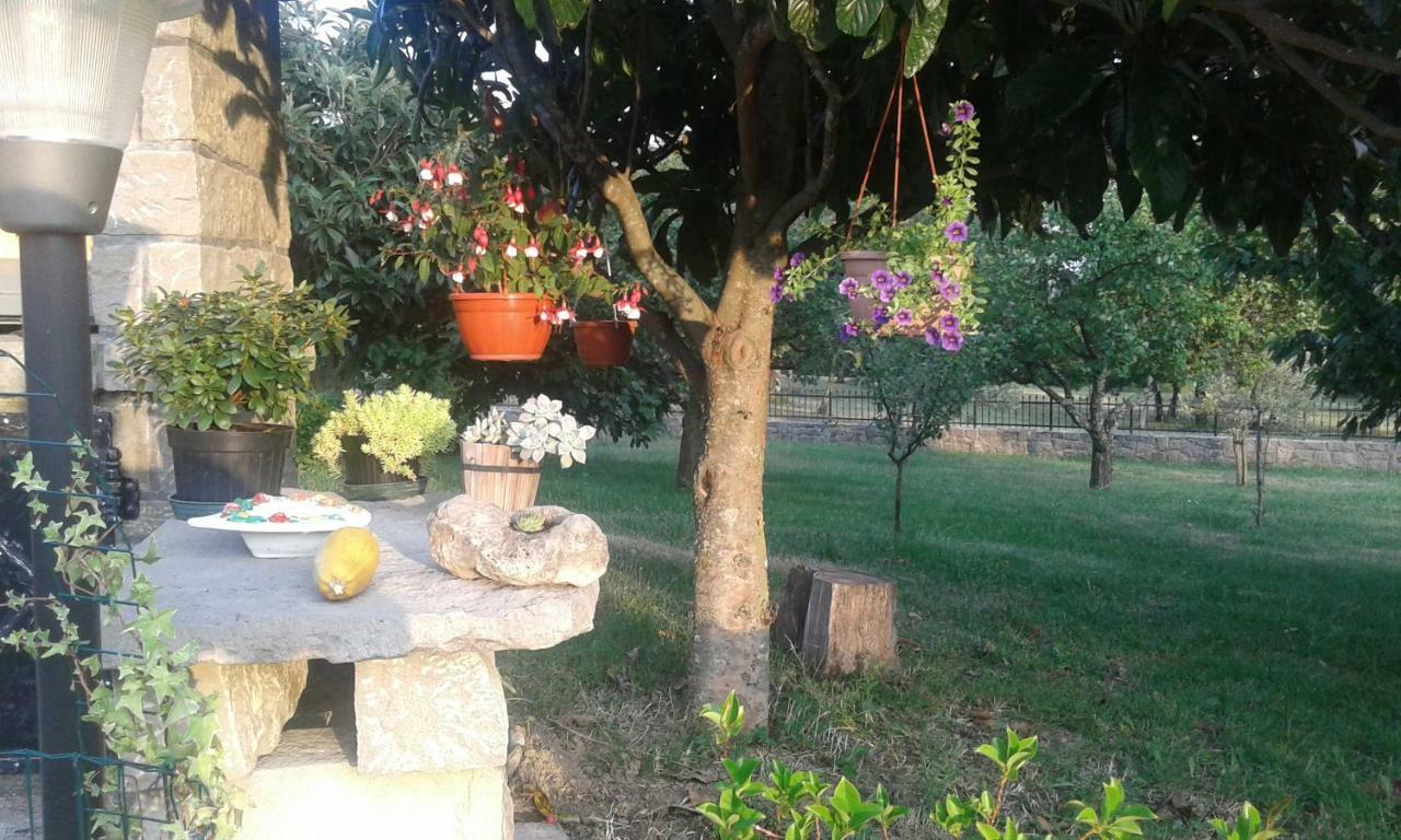 Apartman Nevia Holiday Home Ciritez Dış mekan fotoğraf